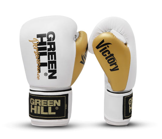 Boxing Gloves Victory