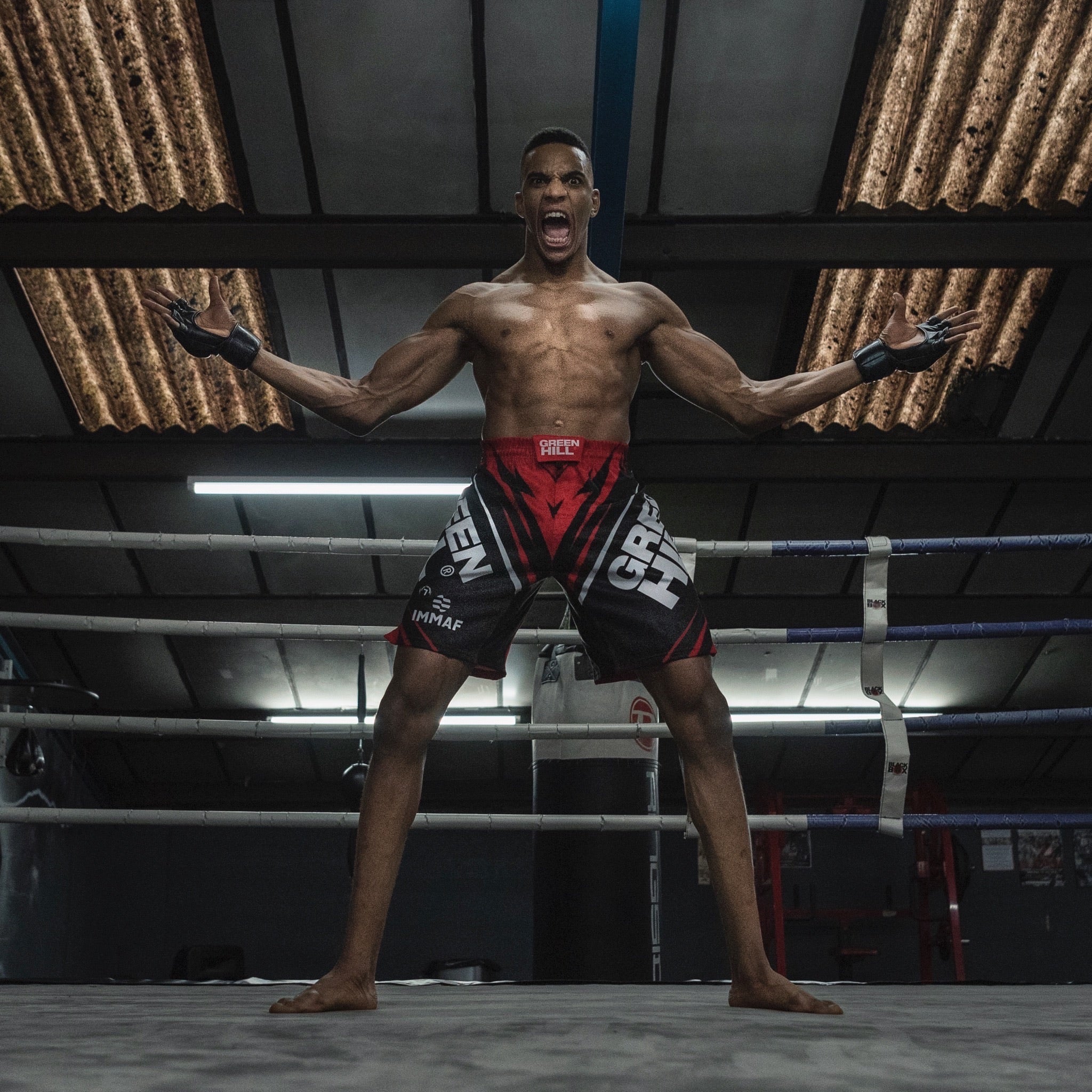 MMA – Green Hill Sport ltd