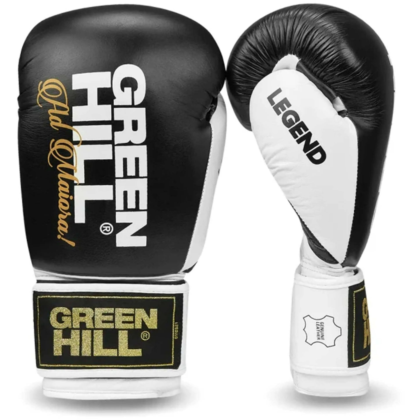 Boxing Gloves LEGEND