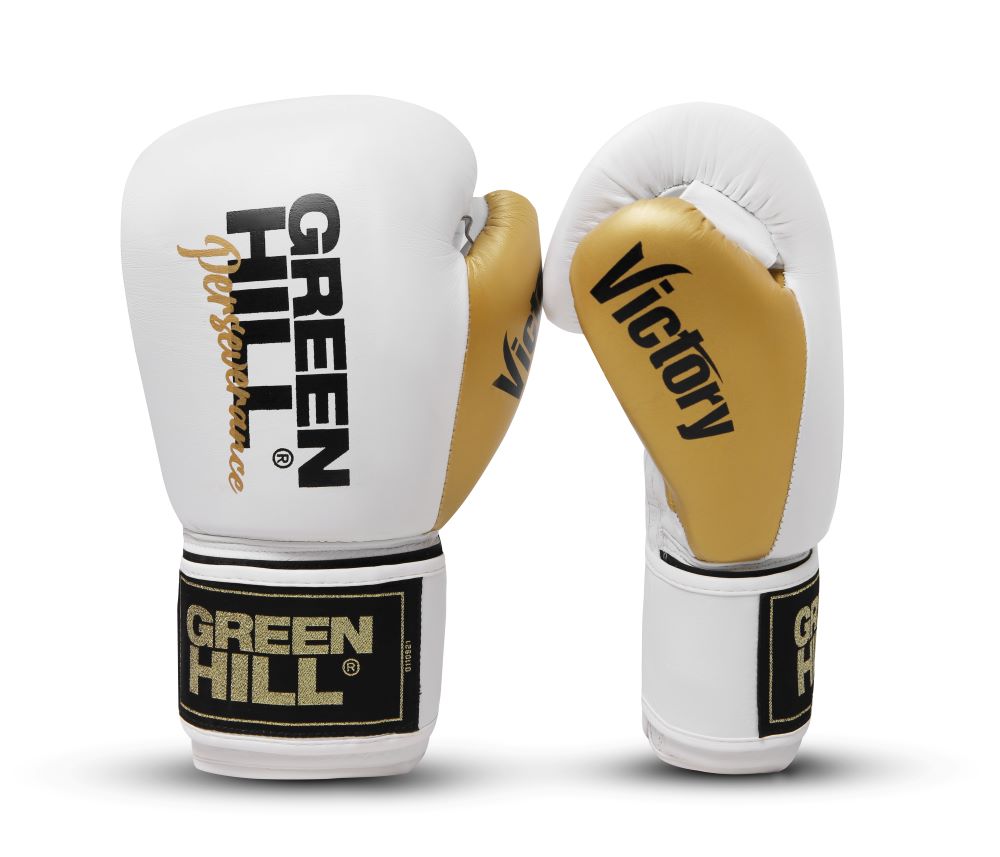 Boxing Gloves Victory